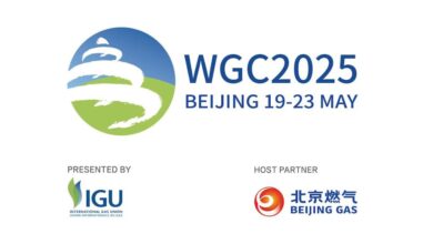 29th World Gas Conference (WGC2025)