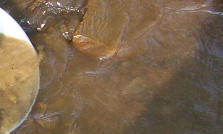 Robex Resources release second quarter performance report