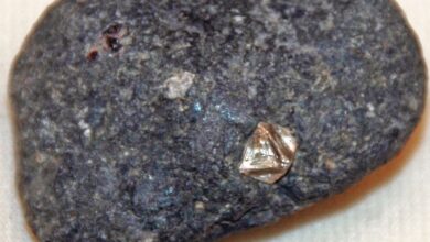 Alpha Petroleum bags diamond mining contract in Namibia