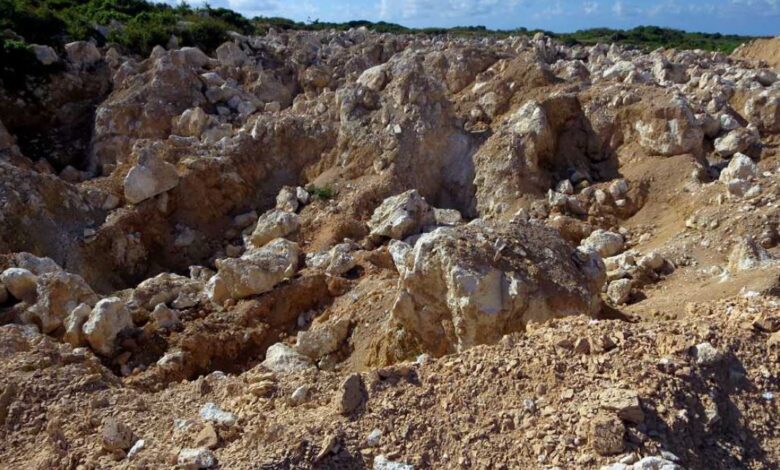 Algeria unveils new phosphate mine project
