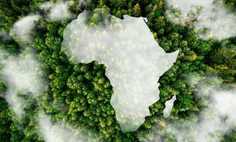 Flipping the switch: is decarbonisation possible for Africa?