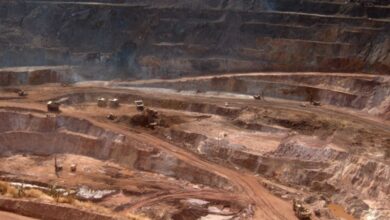 Mali secures 35% stake in a new mining project