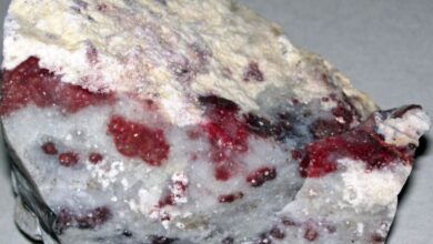 Gemfields resumes ruby mining in Mozambique