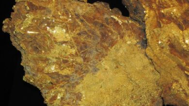 Sanu Gold identifies new high-grade zone at Daina permit in Guinea