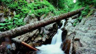 Stormwater Management in Mining Operations