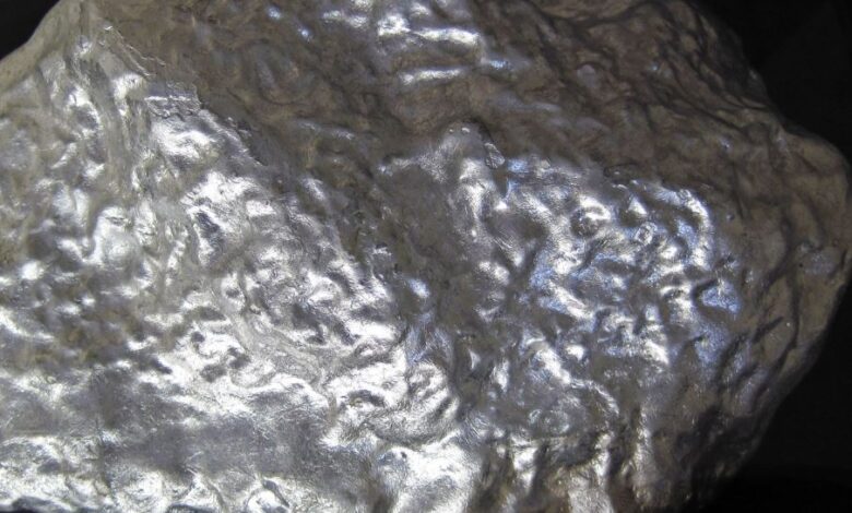 Nornickel presents palladium technology development strategy for the PGM industry in South Africa