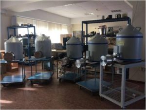 Gamma Activation Analysis (GAA) for Gold Ore Sampling