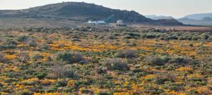 Steenkampskraal Monazite Mine reaches major milestone with NNR acceptance